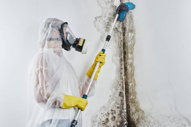 Best Mold Testing  in Salina, OK