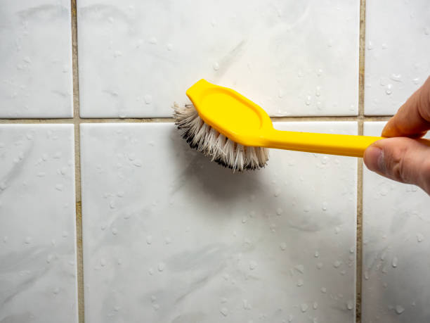 Best Residential Mold Removal  in Salina, OK
