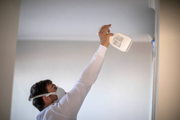 Best Mold Removal Process  in Salina, OK