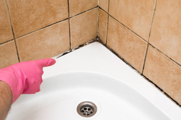 Trusted Salina, OK Mold Removal Experts